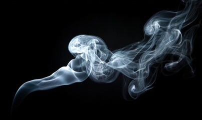 Ethereal wisp of delicate, translucent smoke swirls against stark black backdrop. Soft gradients and complex curves create an abstract, flowing pattern