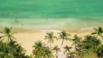 Scenic drone footage of Coson Beach — calm ocean, pristine sand, and green palms. Ideal for eco-tourism and travel vlogs. Filmed 16 August 2025, Las Terrenas, Dominican Republic