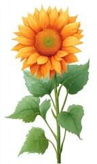 Obraz premium Single yellow sunflower with green leaves and stem, digitally rendered in a watercolor style, on a white background