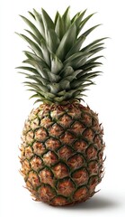 A whole pineapple, spiky brown exterior and green leafy top, sits against a plain white backdrop, casting a soft shadow to its right