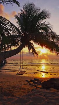 Tropical beach with coconut palm tree and ocean. Summer vacation in tropical paradise concept 4K