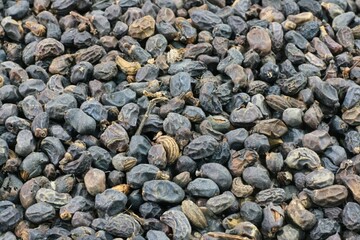 Ligustrum lucidum, known as Fructus Ligustri Lucidi, is a traditional herbal fruit medicine that nourishes yin, strengthens liver and kidney, enhances immunity, and slows aging.