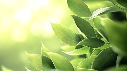 Vibrant Green Foliage Closeup with Textured Leaves in Natural Light and Detailed Vein-generative ai