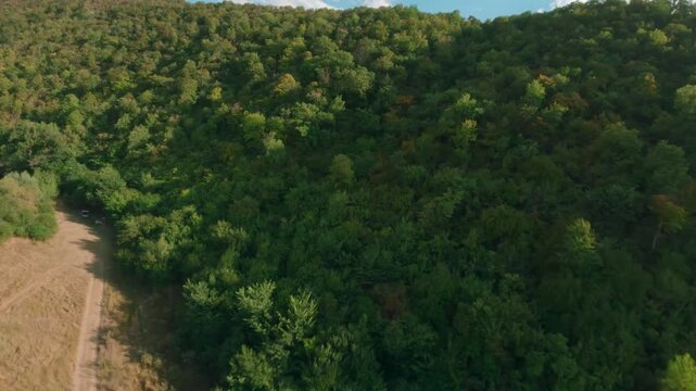 FPV drone aerial shot. Mountain views of nature landscape of the Moldavian National Park, Furceni Village, Moldova, Europe