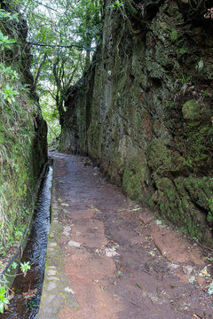 Tunnel through mountain on Vereda dos Balcoes Levada Trail in Ribeiro Frio, Madeira