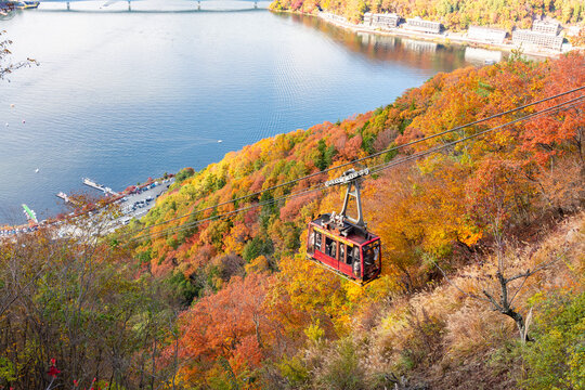Fototapeta Cable car of Mount Fuji panoramic ropeway in autumn, Fujikawaguchiko, Japan