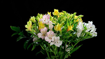 Vibrant Bouquet of Alstroemeria Flowers in Full Bloom