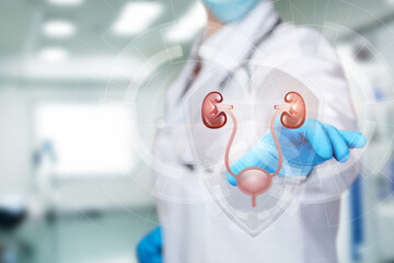 Medical professional shows kidney health protection concept.