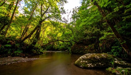 Obraz premium Lush green forest envelops a calm stream, sunlight filtering through the canopy onto moss-covered rocks