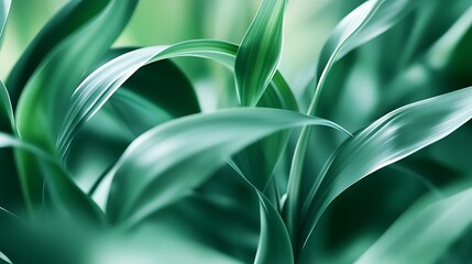 Fototapeta premium Vibrant Green Foliage Closeup with Textured Leaves in Natural Light and Detailed Vein-generative ai