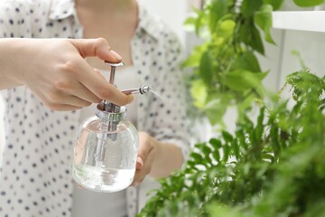 Young woman spraying beautiful houseplant with water from bottle indoors, closeup