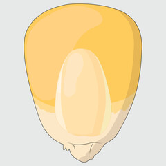 CORN.eps