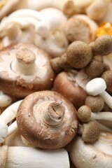 Different raw mushrooms as background, closeup view