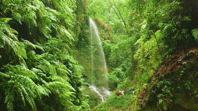 Cascada de los Tilos Waterfall, La Palma, Canary Islands, Spain