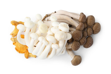 Pile of different raw mushrooms isolated on white, top view