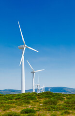 Eolic wind farm landscape with modern windmills