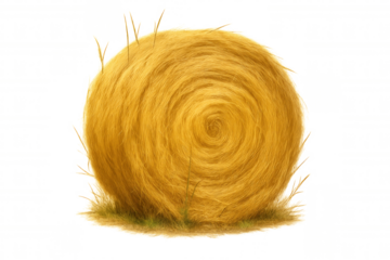 Cylindrical hay bale lying on verdant grassland, cut-out image revealing agricultural harvest landscape