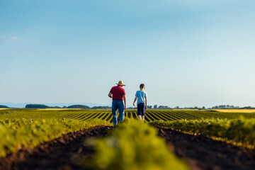 Fototapeta premium Rear view of senior farmer with his grandson walking in green soybean field examining crop at sunset.