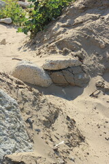 stone path in the sand