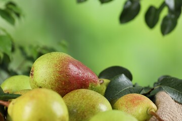 Fresh ripe pears and green leaves on blurred background, closeup