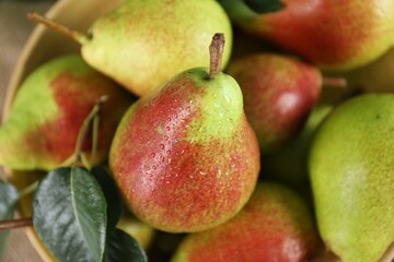 Fresh ripe pears and green leaves in bowl, top view