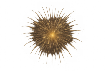 Golden firework exploding with transparent background