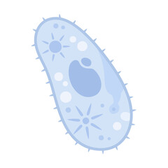 かわいいゾウリムシのイラスト素材