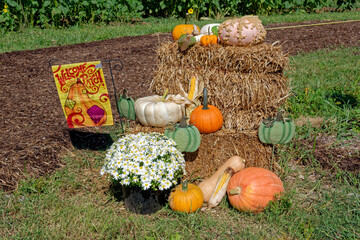 Festive fall display outdoors