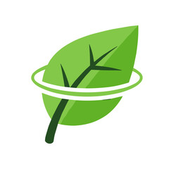Obraz premium A vibrant green leaf with a circular outline, symbolizing nature and sustainability in a clean design