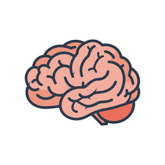 Illustration of a human brain showcasing neural connections against a plain background