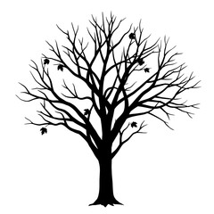 Obraz premium Silhouette of a bare deciduous tree with a few remaining leaves against a white background