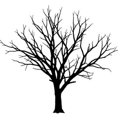 Silhouette of a bare deciduous tree with intricate branches against a stark white background