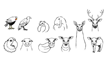 Line art drawing featuring various animal heads, including birds, sheep, and deer, arranged in a row.