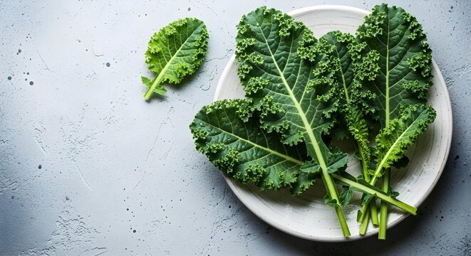 Fresh Curly Kale on White Plate Nutritious Green Leaves for Healthy Lifestyle