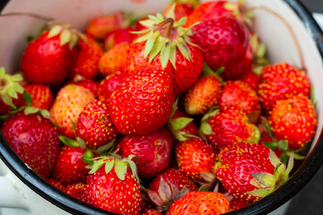 lots of fresh red juicy strawberries close up