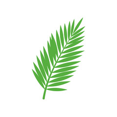 A vibrant green palm leaf isolated on a white background, symbolizing nature and tranquility