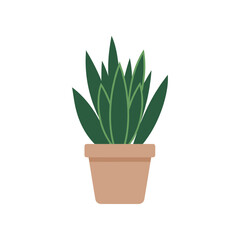 A vibrant potted succulent with lush green leaves, set against a clean white background, ideal for decor