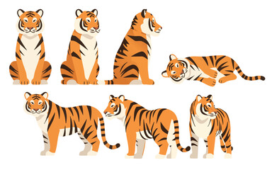 Vector illustration of a tiger in various poses and angles