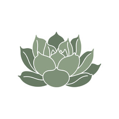 Serene green lotus flower illustration symbolizing tranquility and nature's beauty