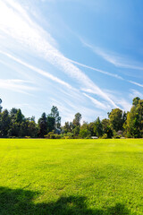 A vast green grass meadow stretching towards the horizon with a trees