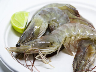 large fresh shrimps close-up lying on a plate on a white background