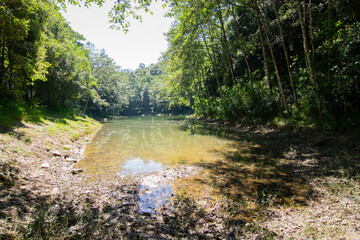 Poison Lake, Poison Pokhari. Lepchas, natives poisoned water of pond, main source of water using herbs, thus killing almost half of exploring British army. Hence the name. Rinchenpong, Sikkim, India.