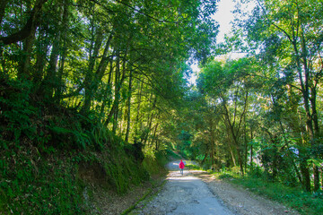 Red dressed woman , solo traveller on her way to Rinchenpong monastery, Sikkim, India.