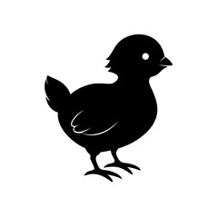 Silhouette of a chick bird on transparent background