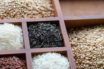 A wooden box with a variety of grains including rice, wheat, and barley