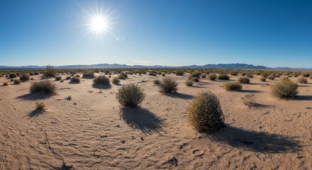 Desert landscape under bright sunlight arid terrain and sparse vegetation