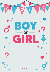 Vector illustration gender reveal party boy or girl