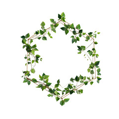Decorative green vine arranged in a geometric hexagonal shape with lush foliage