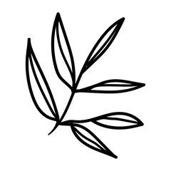 Cute single hand drawn autumn elements. Doodle vector illustration for wedding design, logo and greeting card.