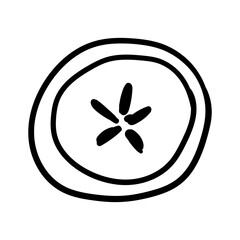 Black and white doodle apple illustration, hand drawn line art fruit sketch, simple outline isolated. Doodle vector illustration for wedding design, logo and greeting card.